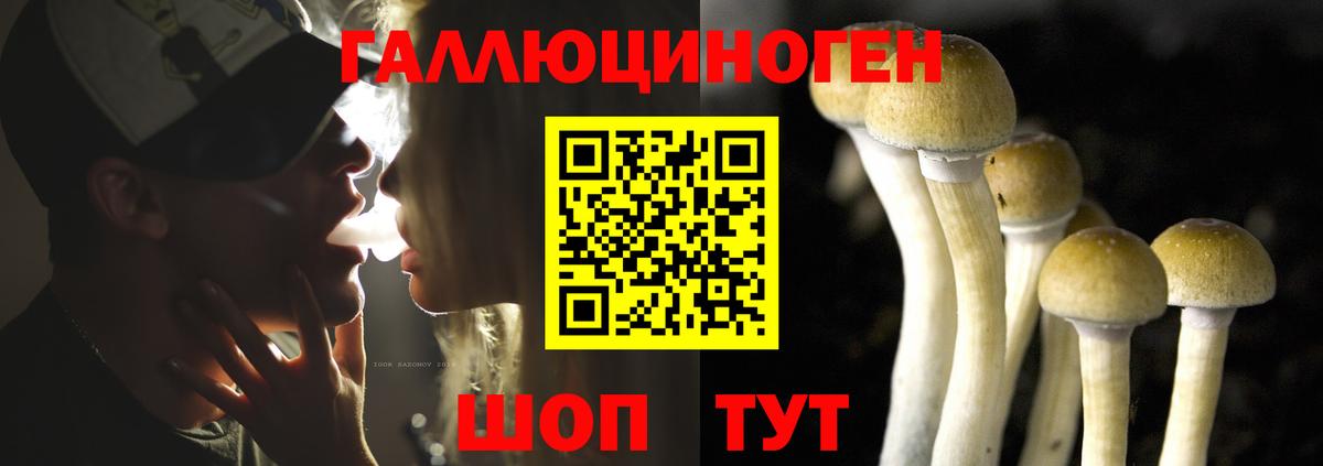 как найти наркотики  Псилоцибиновые грибы мухоморы  Вход с VPN  Зеленодольск  Псилоцибиновые грибы MAGIC MUSHROOMS 
